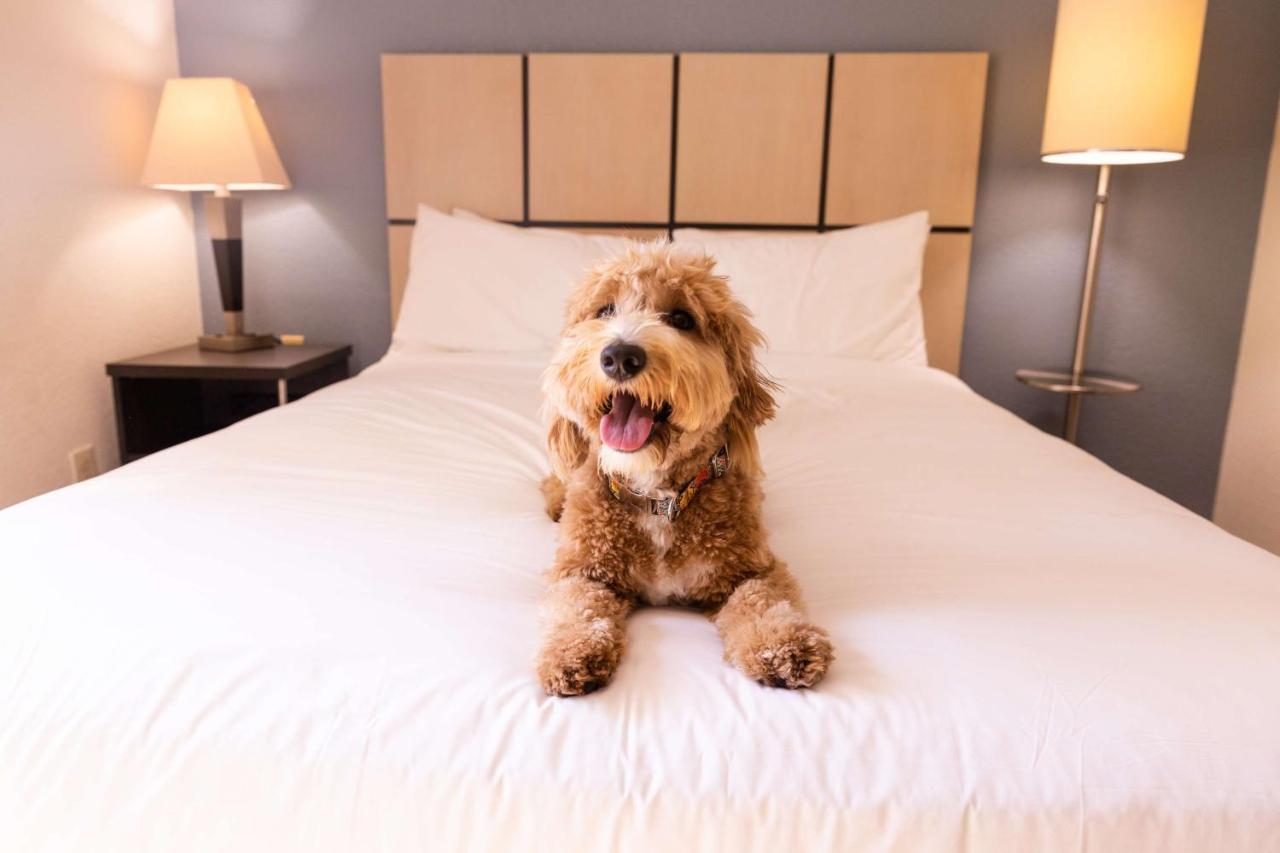 Sonesta Simply Suites Chicago Либертивилл Экстерьер фото
